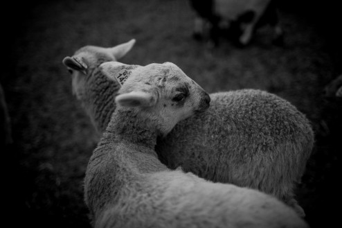 vendredi4avril2014-1