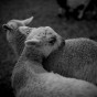 vendredi4avril2014-1