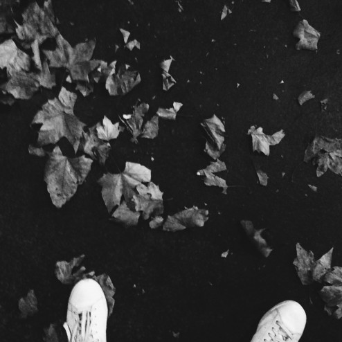 Processed with VSCOcam with b5 preset