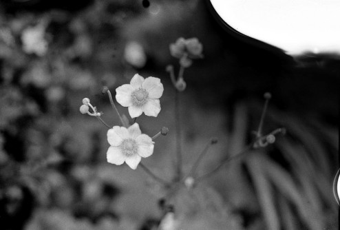 vendredi14septembre2012