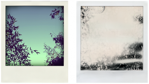 vendredi11janvier2013-jp