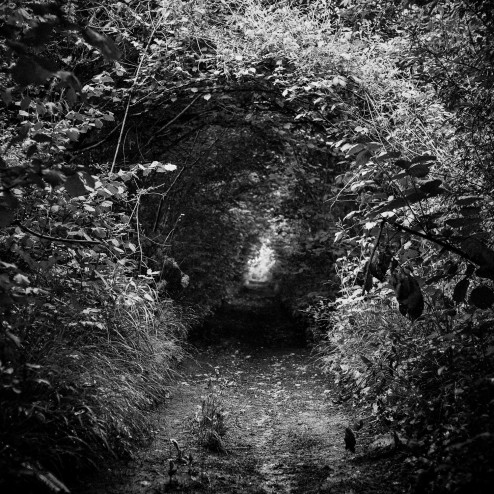 vendredi'octobre2013-jp