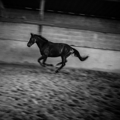 lechevald'annecha-jp-3