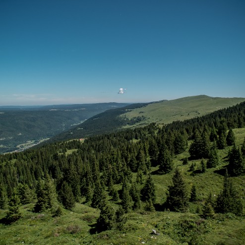 vendredi18juillet2014-1